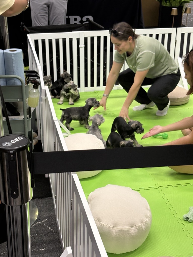 A puppy visit on the MBA Annual26 expo floor